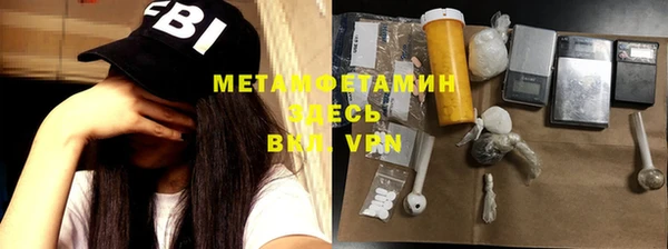 прущие грибы Белокуриха