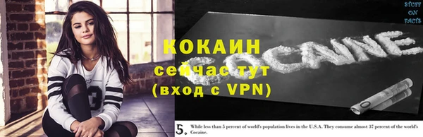 прущие грибы Белокуриха