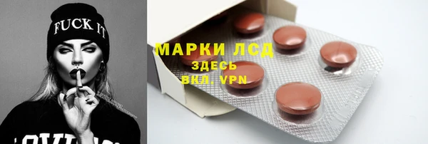 шишки Белоозёрский