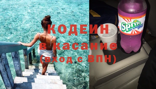 прущие грибы Белокуриха
