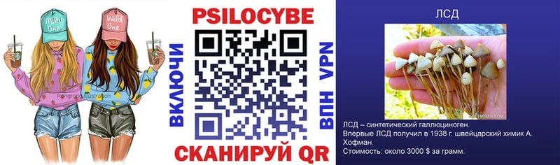 маркетплейс официальный сайт  как найти наркотики  Гай  Галлюциногенные грибы Psilocybine cubensis  ссылка на мегу ONION 